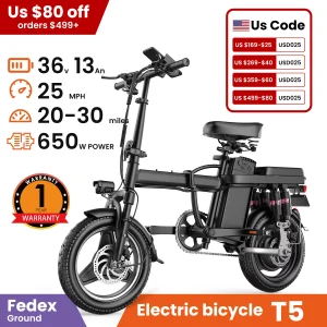 Folding Electric Bike