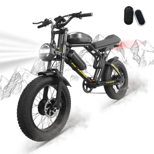 Electric Bike